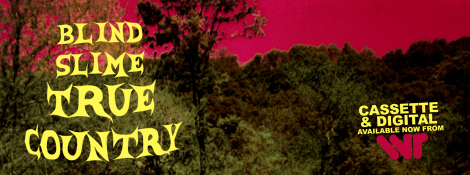 blind_slime_banner