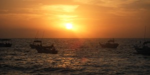 davis_sunset600